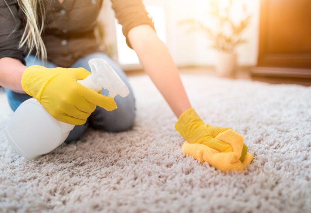 Alfombras, limpiador de alfombras, limpiar la alfombra, limpieza de alfombras, lavado de alfombras, mantenimiento de alfombras