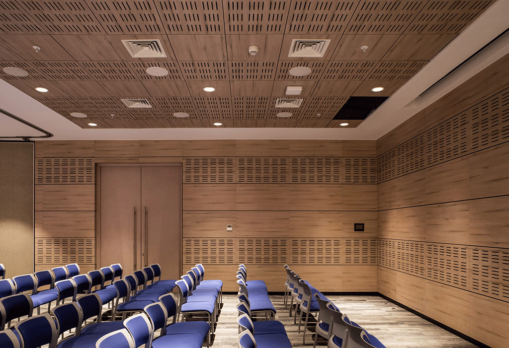 Cielos Hunter Douglas: Natura y Patagonia